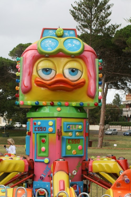 A rainbow aviator duck?