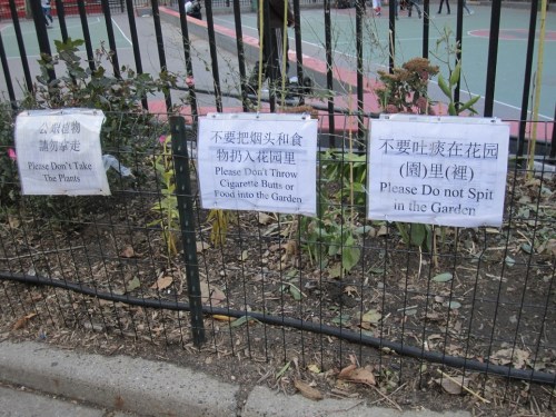 New York Chinatown signs