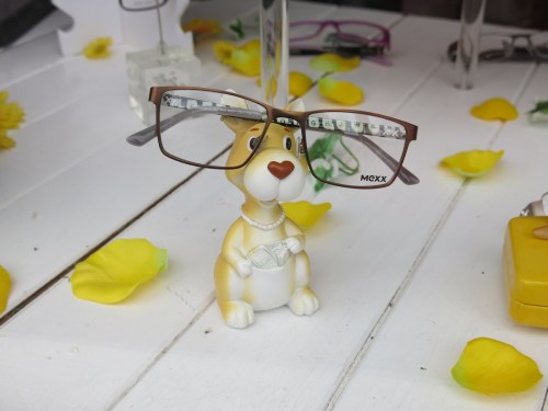 Kangaroo with glasses