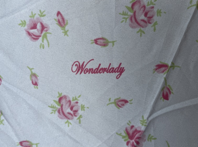 To all the ladies in the&nbsp;house