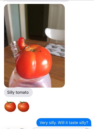 tomato