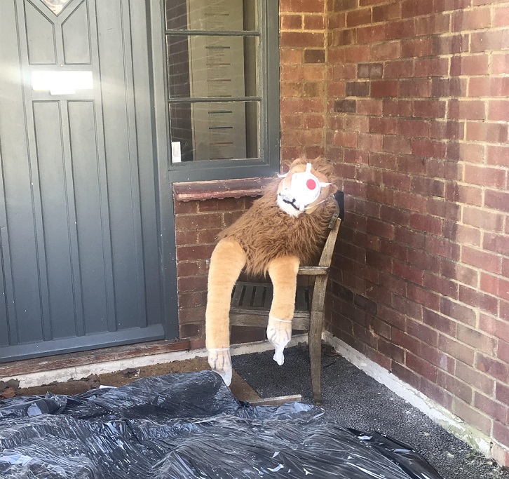 Lion toy in chair wearing face mask.